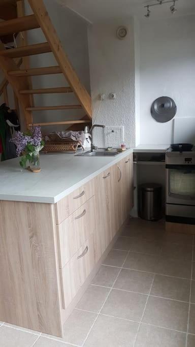 Beau Duplex Lumineux A La Montagne Nice Flat Just Underneath Mtblanc Les Houches Εξωτερικό φωτογραφία
